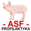 ASF zwalczanie i profilaktyka